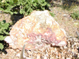 Fragment of Alunite Quartzite